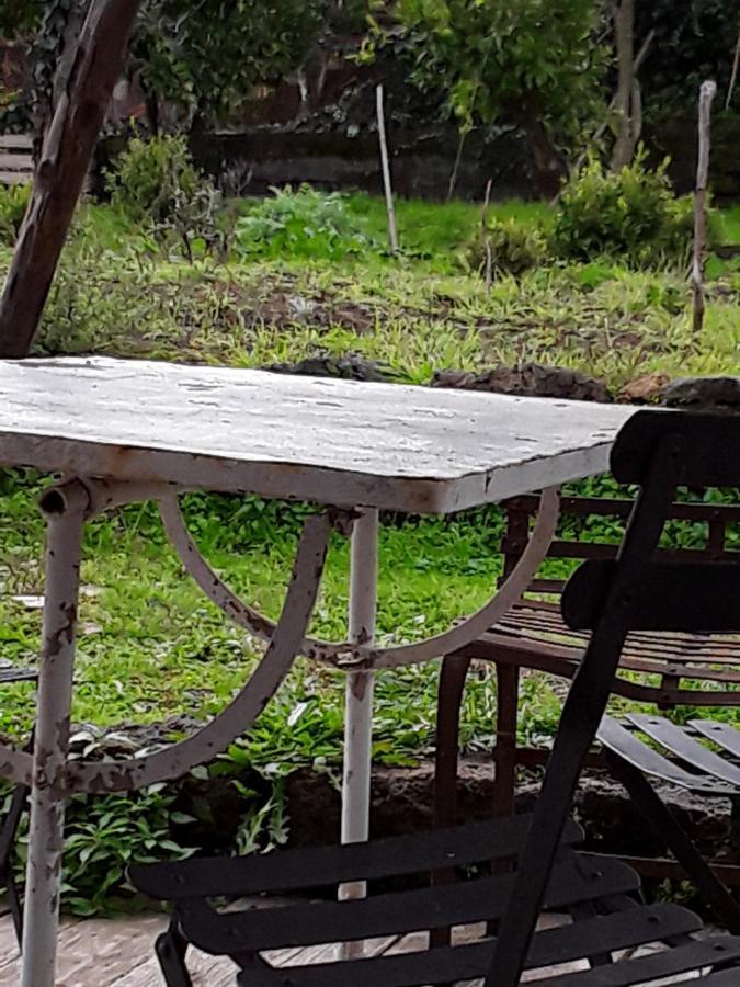 L'Albero Di Alberto Bed & Breakfast Valverde  Dış mekan fotoğraf